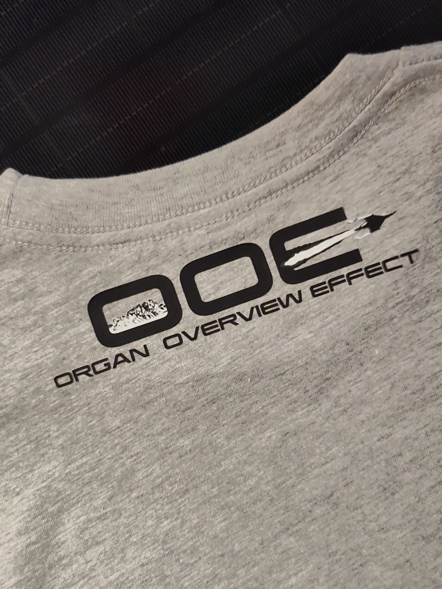 Organ Overview Effect "Gateway" T-shirt